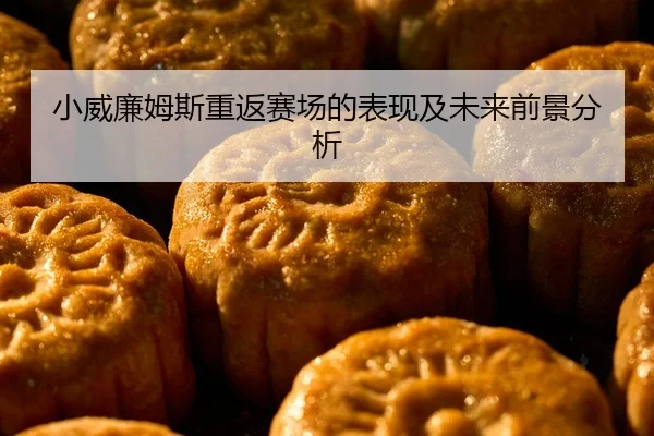 小威廉姆斯重返赛场的表现及未来前景分析